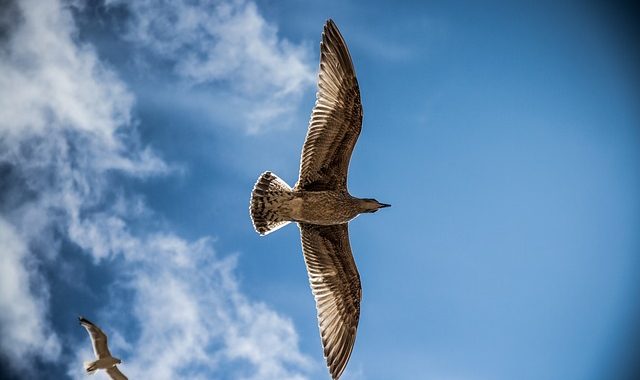 Financial Freedom: What It Looks Like May Surprise You
