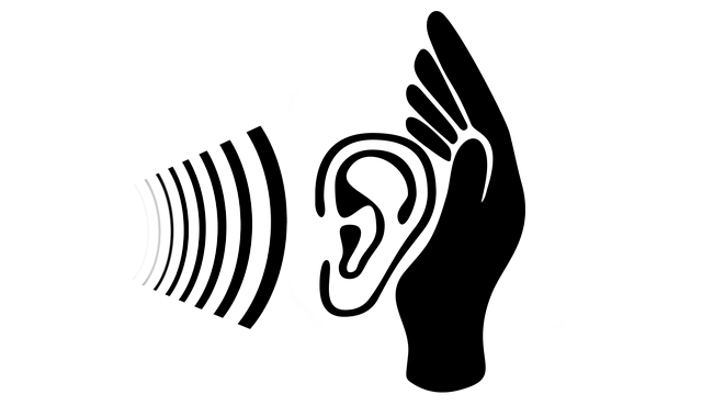 Ear 2972890 640
