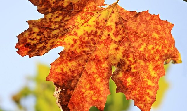 Steps To Protect Your Retirement
