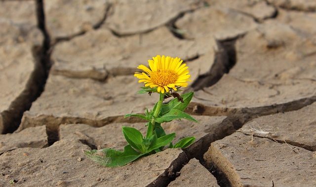 Perfectionism: Where It Helps And Where It Hurts