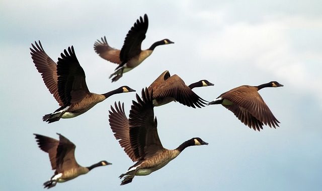 Five Leadership Traits That Connect With People