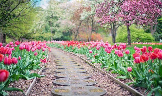 Three Ways To Get More Done This Week