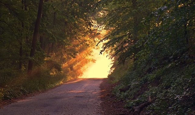 Four Ways You Can Prepare For Retirement