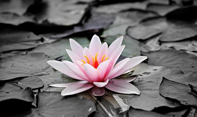 Four Ways To Replenish Your Energy And Motivation