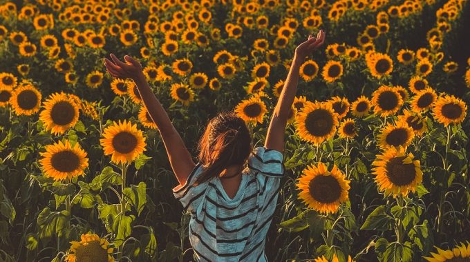 Carles Rabada AvOUmlZZMyY Unsplash