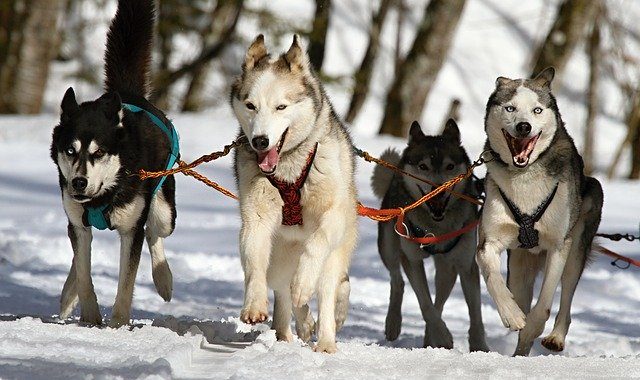 Three Truths About Leadership (And Life!)