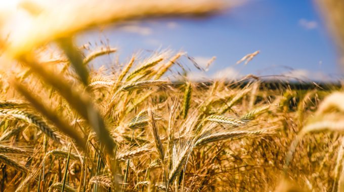 Want To Be A Better Leader? Maintain A Mindset Of Abundance