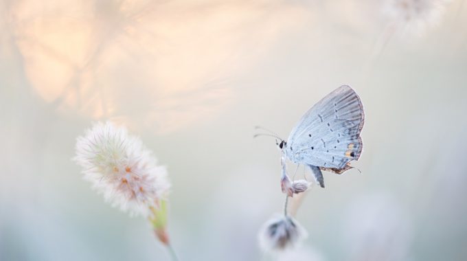 How To Leverage Change In Order To Continually Improve