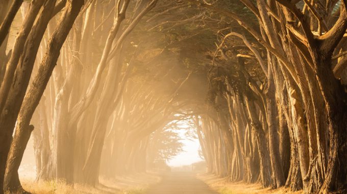 Start Your Journey To Your Financial Future