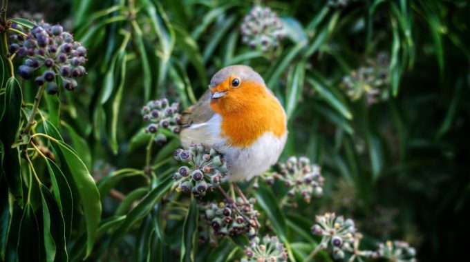 How Mindful People Channel Their Anxiety Into Positive Action