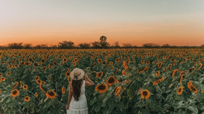 The Business Mindset You Need To Succeed Right Now