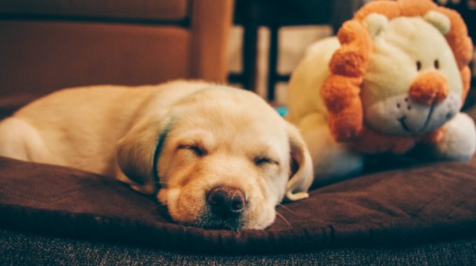 The Value Of Rest And Recovery When Building Your Business