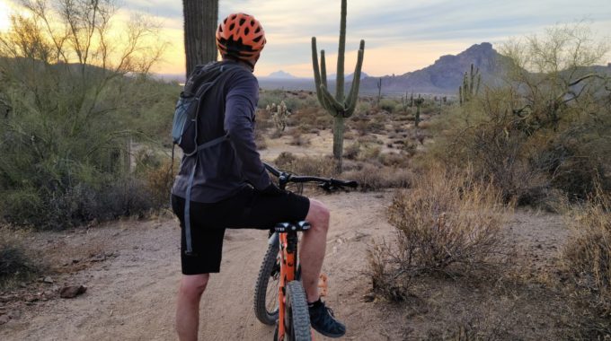 How To Stay Resilient And Adaptable