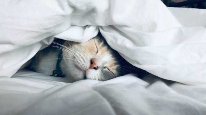 Financial Security Is Self-Care