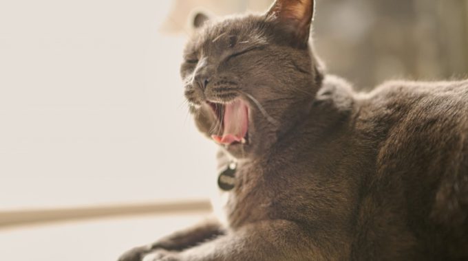 Feeling Depleted? How To Wake Back Up!