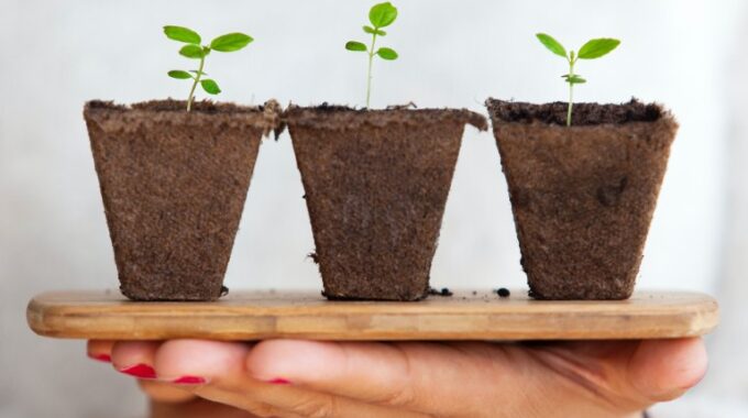 The Power Of Measurable Progress