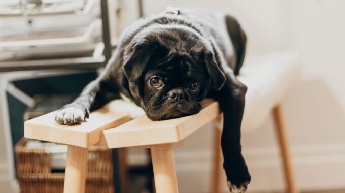 4 Signs That You Need To Take A Break