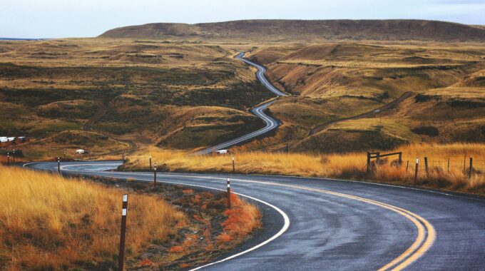 Cultivating Longevity: How To Nurture A Long-Term Mindset