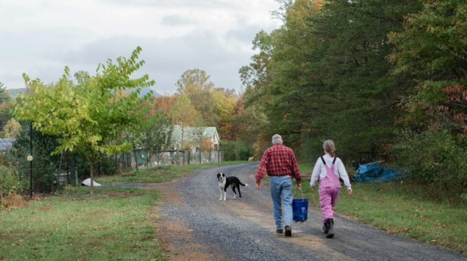 Retirement: Wise Habits To Cultivate This Week