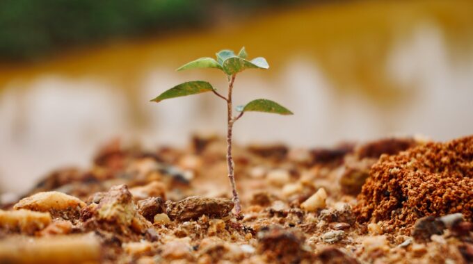 Why Mentorship Matters For Your Success